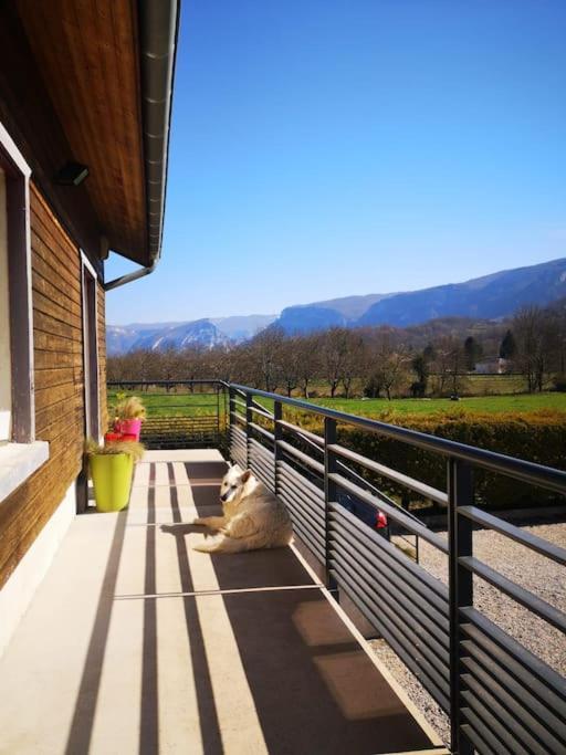Balcons Du Royans.Logement Entier Piscine Saint-Jean-en-Royans Luaran gambar